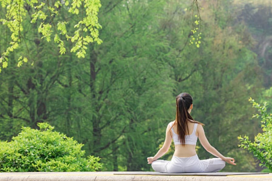 A yoga meditation scene in the forest, conveying a natural connection between body and nature